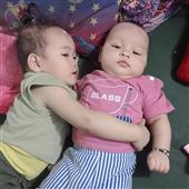 VỪNG