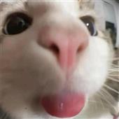 Cy