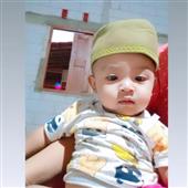 Gấu 