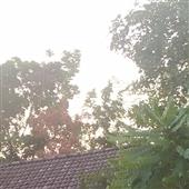 Kho 