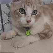 Ki