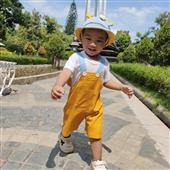 Linh