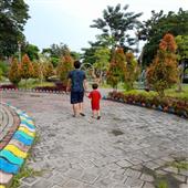 Cung