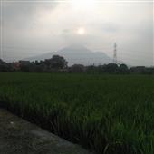 Tỷ l