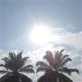 Kế
