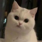Cá