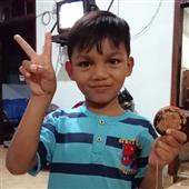 Cung