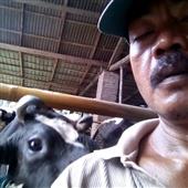 liên