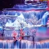Chấp
