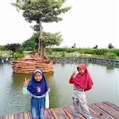 Giải