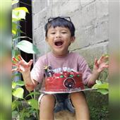 Dự