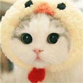 xứ