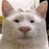 Cá