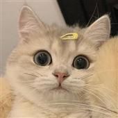 Ch