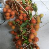 Ca