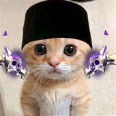 Tr