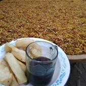 Lậ