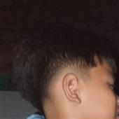 Bộ