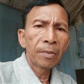 Cỏ