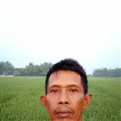 Cá