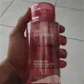 Bó