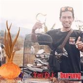 HỔ