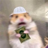 Gori