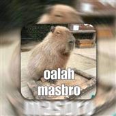 Vu