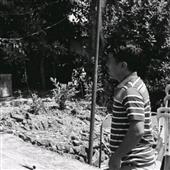 lị