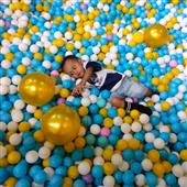 Linh