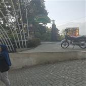 Phần