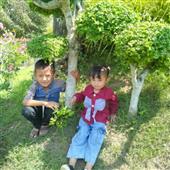 TỨ