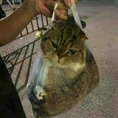 Re