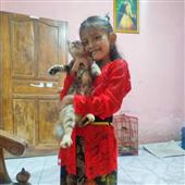 Tỷ