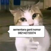 Ga