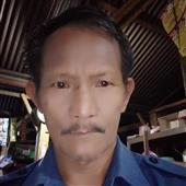 Hổ M