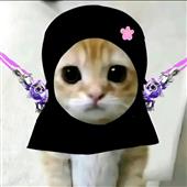 Tr