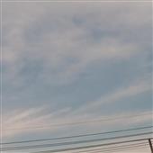 Long