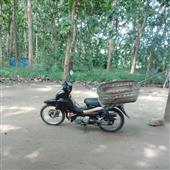 Nữ h
