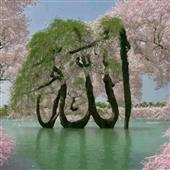 Bữ