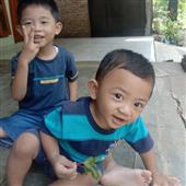 Sự T