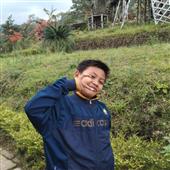 Gamb
