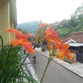 Cuộc