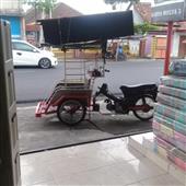 Trực
