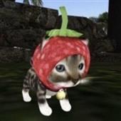 Ch