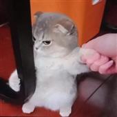 Sâ