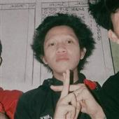 Cung