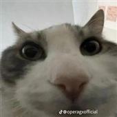 Di