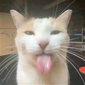 Ch