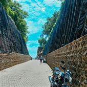 Dự